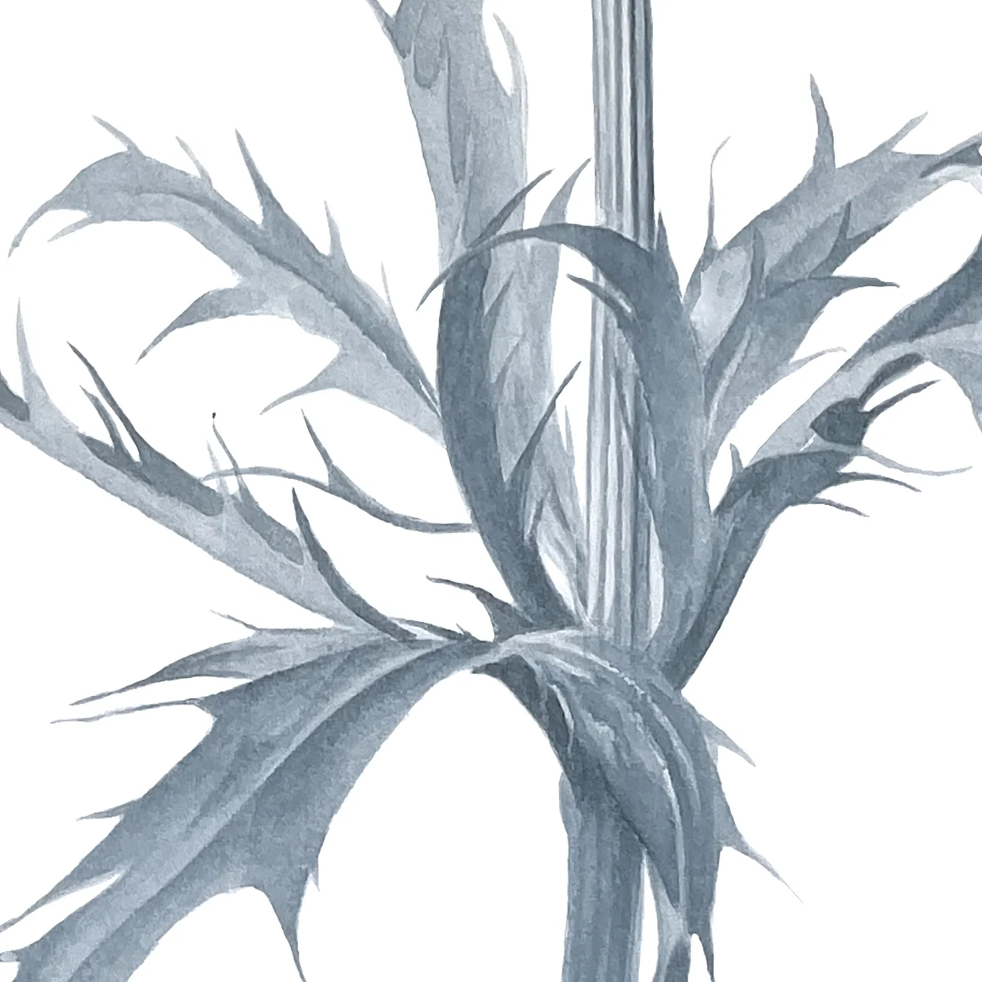 Detail 2 from Delicate Beauty