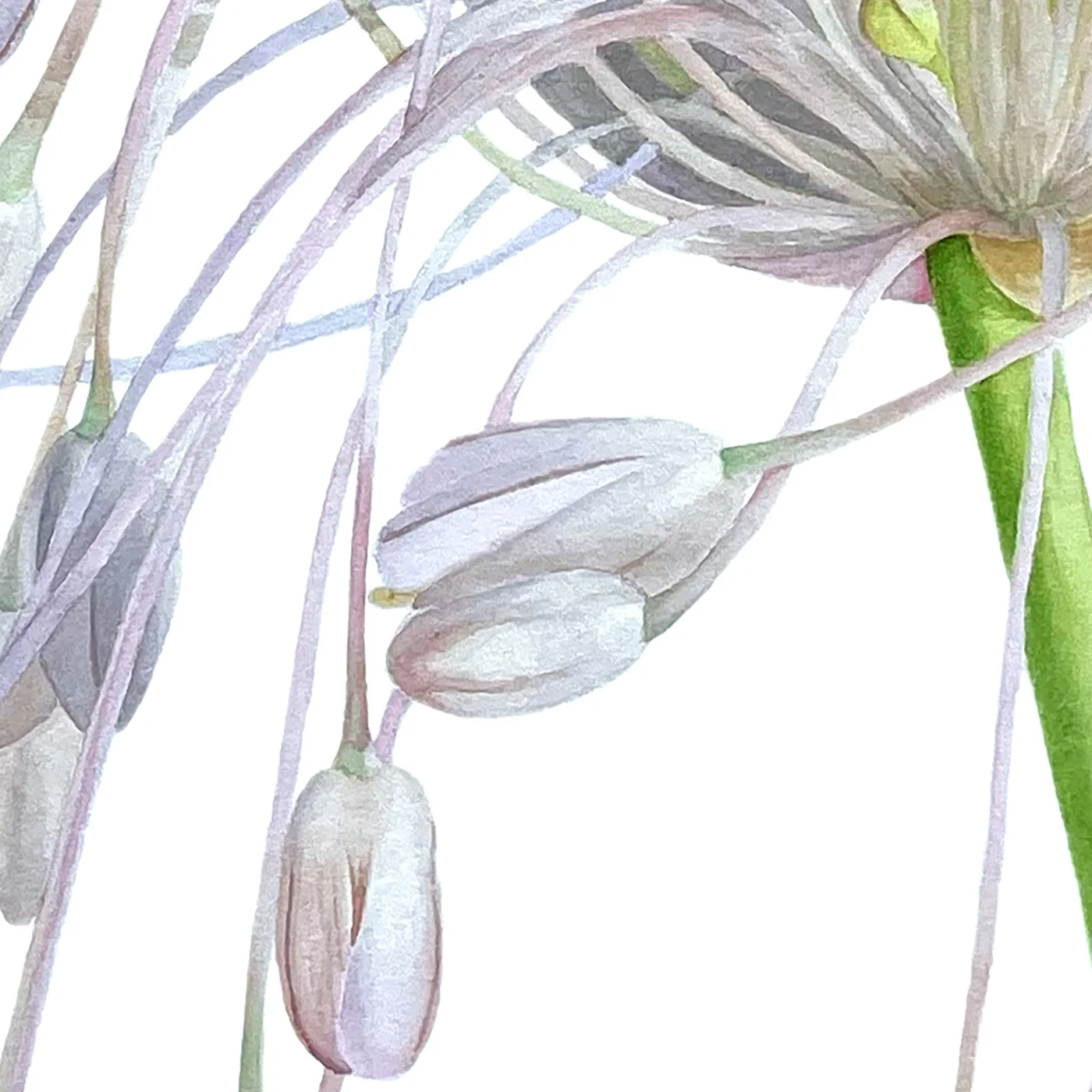 Detail 2 from Sun Glare
