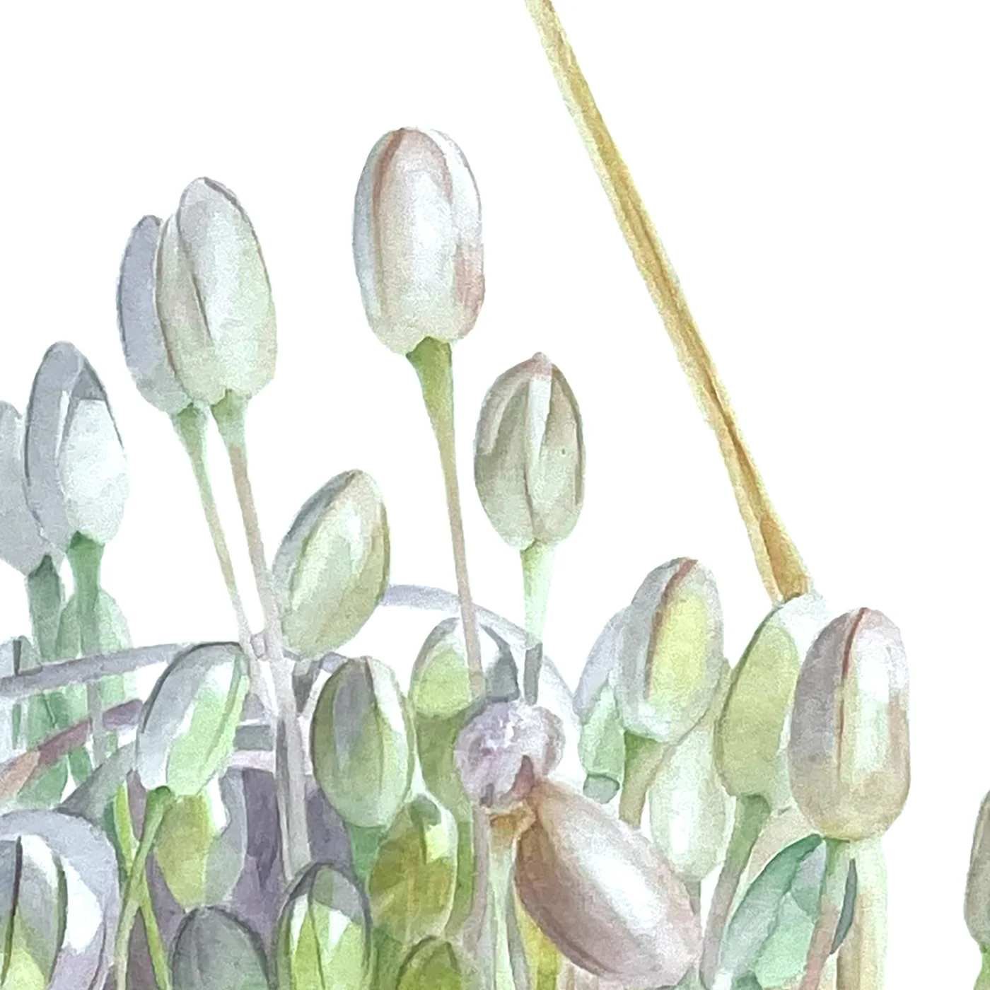 Detail 3 from Sun Glare