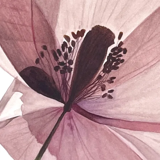 Detail 1 from Transparent Tenderness