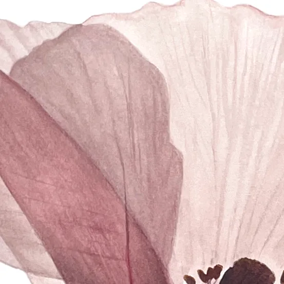 Detail 2 from Transparent Tenderness
