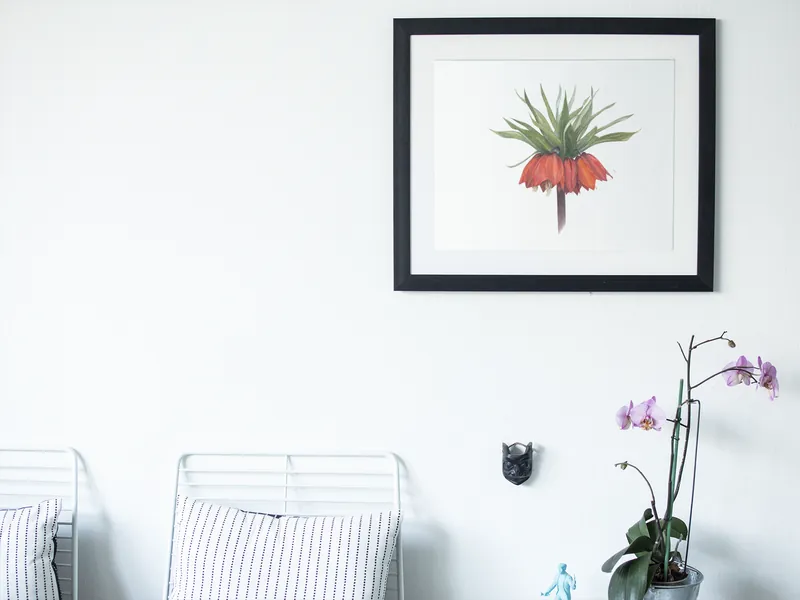 Interior preview of Fritillaria Imperialis
