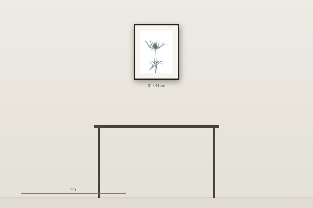 Delicate Beauty shown to scale above a 120 cm console