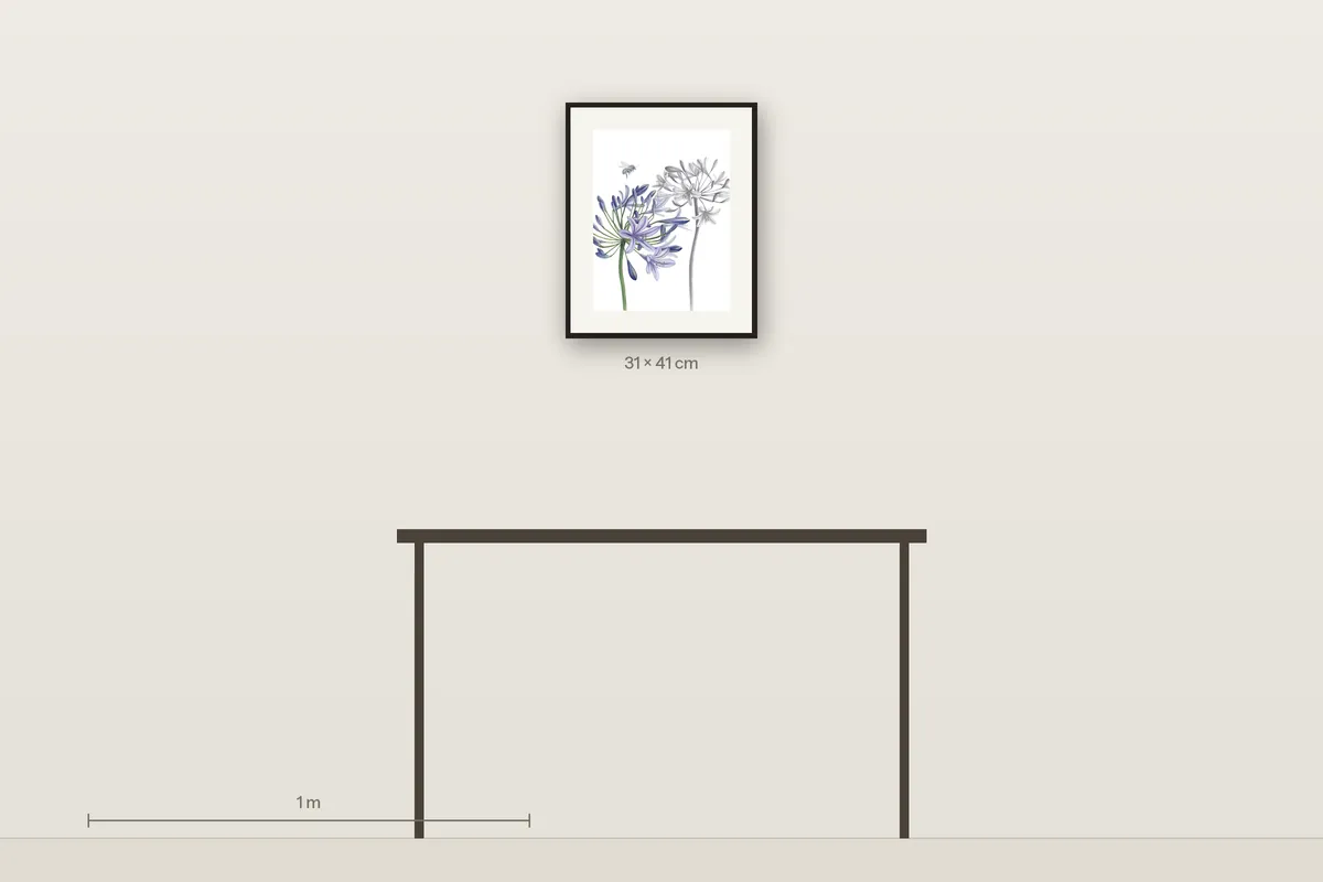 Lily of the Nile in Bloom shown to scale above a 120 cm console