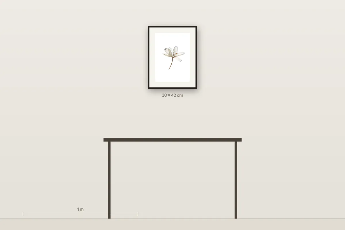 Still Beauty shown to scale above a 120 cm console